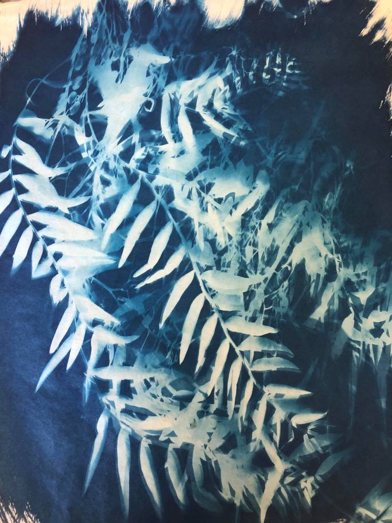 50574106_2770364579854583_4226309967440773120_n