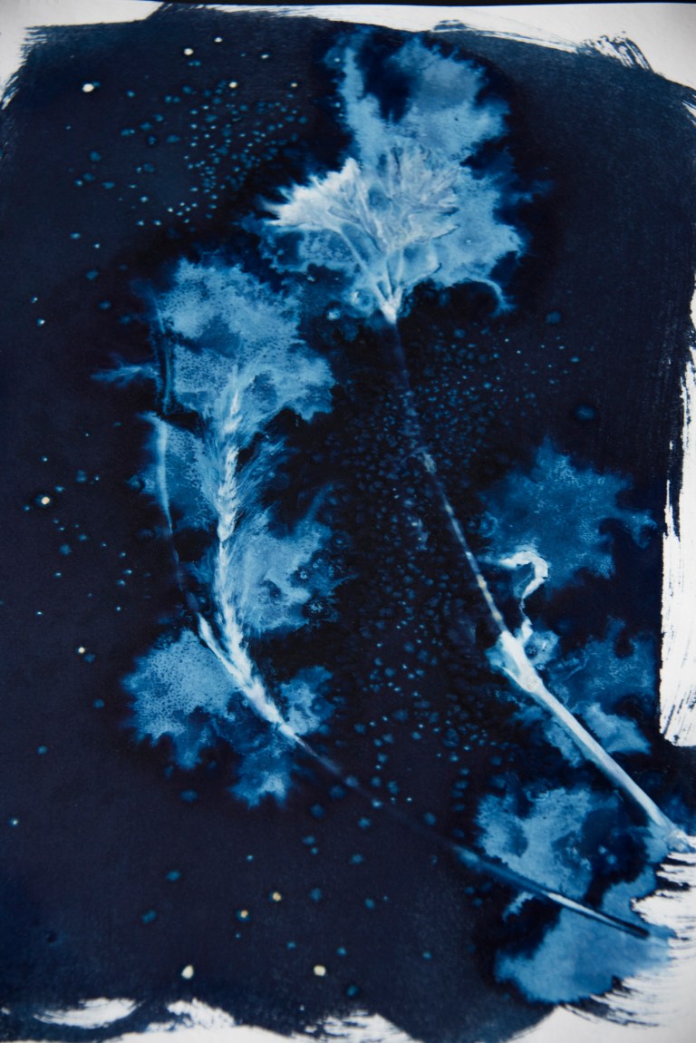 Anne_McCallum_2018-27