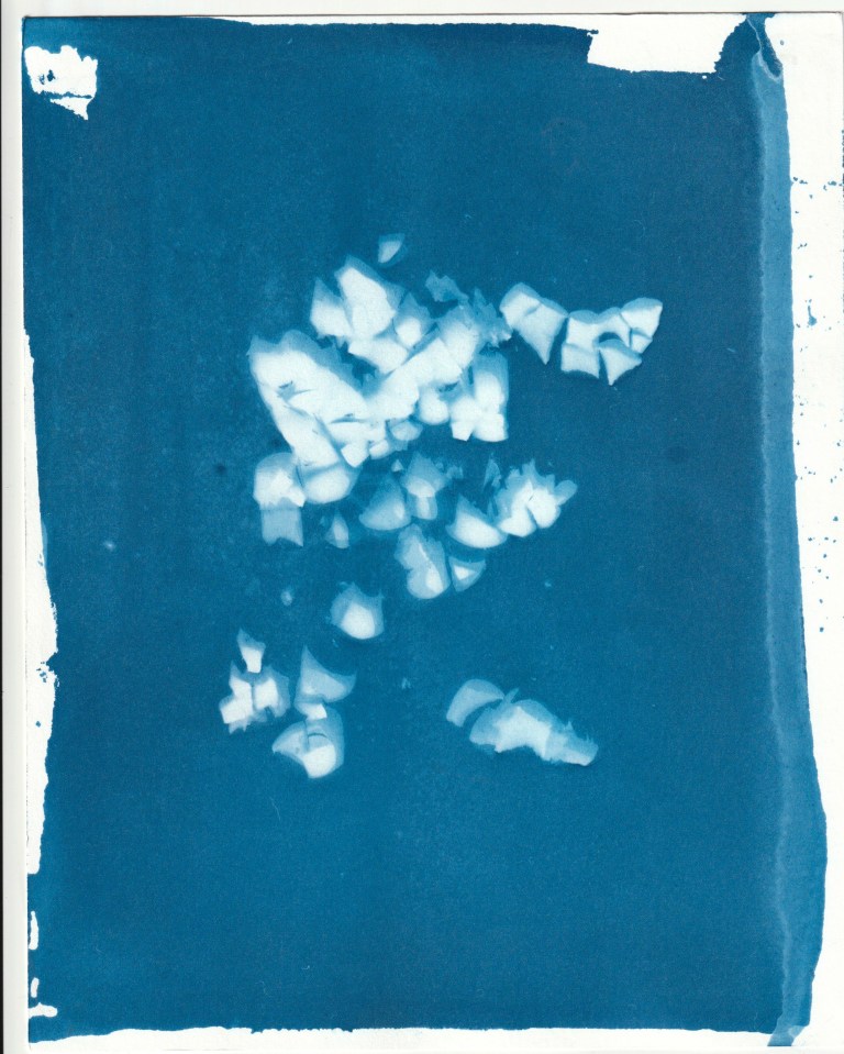 IMG_20180614_0001 copy