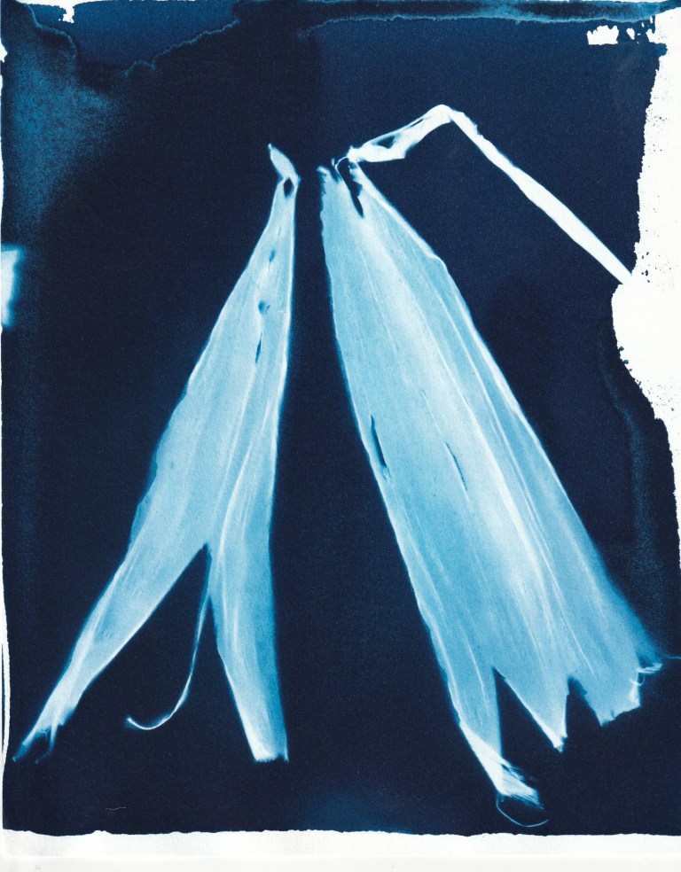 IMG_20180614_0002 copy