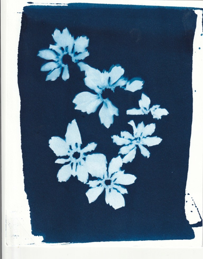 IMG_20180614_0003 copy