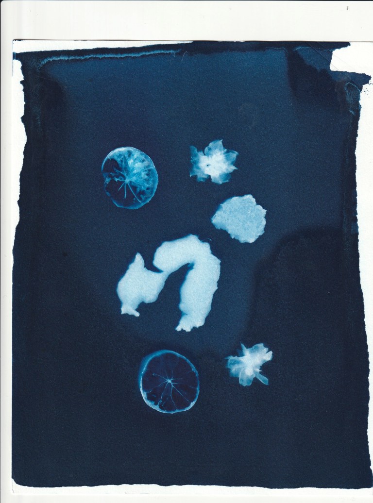 IMG_20180614_0007 copy