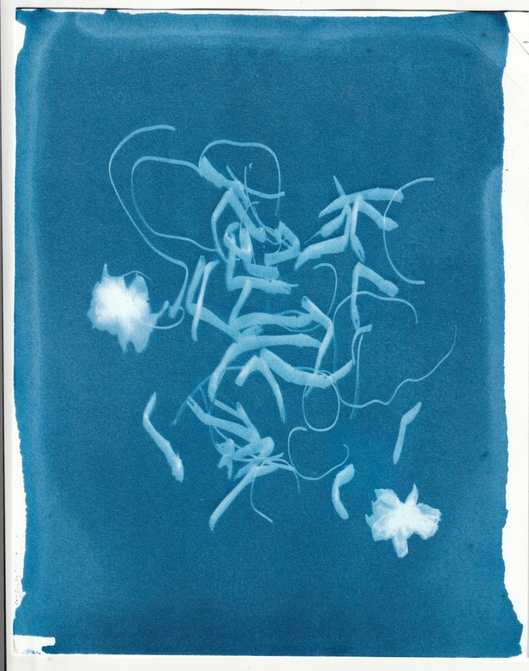 IMG_20180614_0008 copy