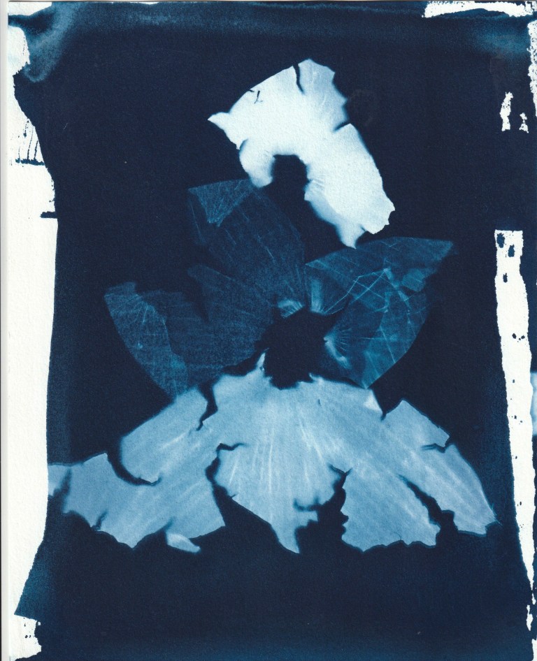 IMG_20180614_0010 copy